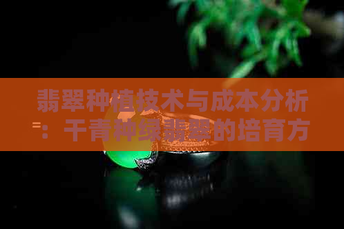 翡翠种植技术与成本分析：干青种绿翡翠的培育方法和市场价格全解析