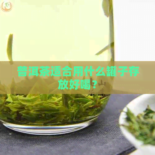 普洱茶适合用什么罐子存放好喝？