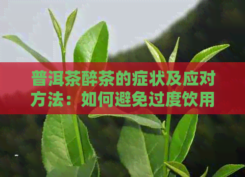 普洱茶醉茶的症状及应对方法：如何避免过度饮用普洱茶？