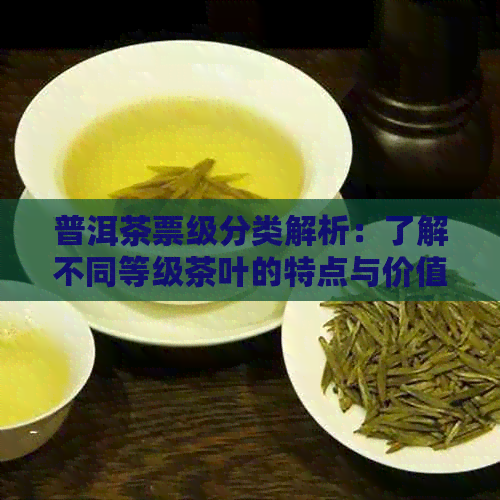 普洱茶票级分类解析：了解不同等级茶叶的特点与价值