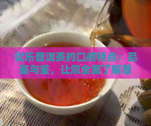 优乐普洱茶的口感特点：品鉴与鉴，让您全面了解普洱茶的醇厚、回等特点