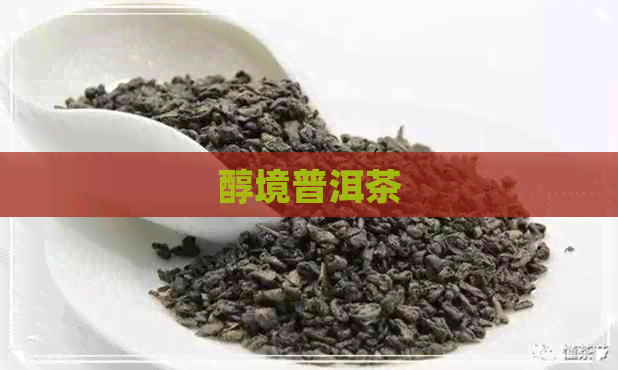 醇境普洱茶