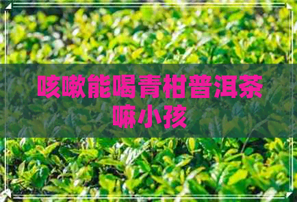 咳嗽能喝青柑普洱茶嘛小孩