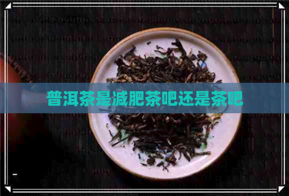 普洱茶是减肥茶吧还是茶吧