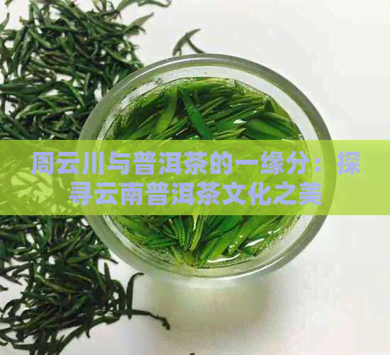 周云川与普洱茶的一缘分：探寻云南普洱茶文化之美