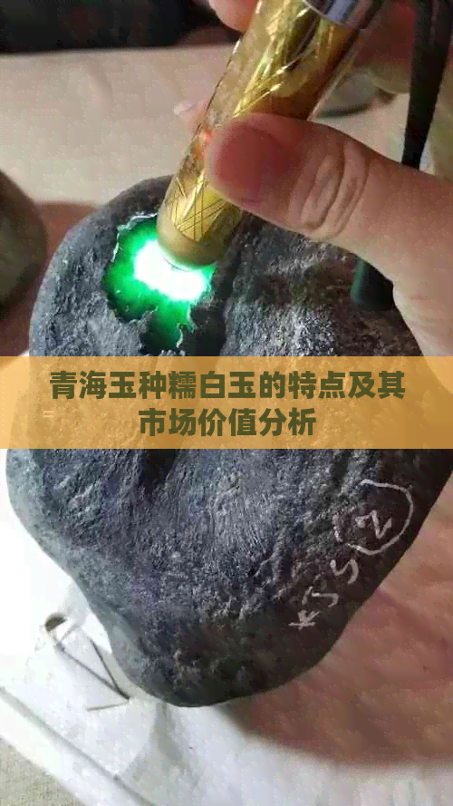 青海玉种糯白玉的特点及其市场价值分析