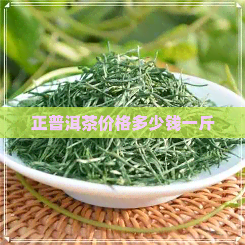 正普洱茶价格多少钱一斤