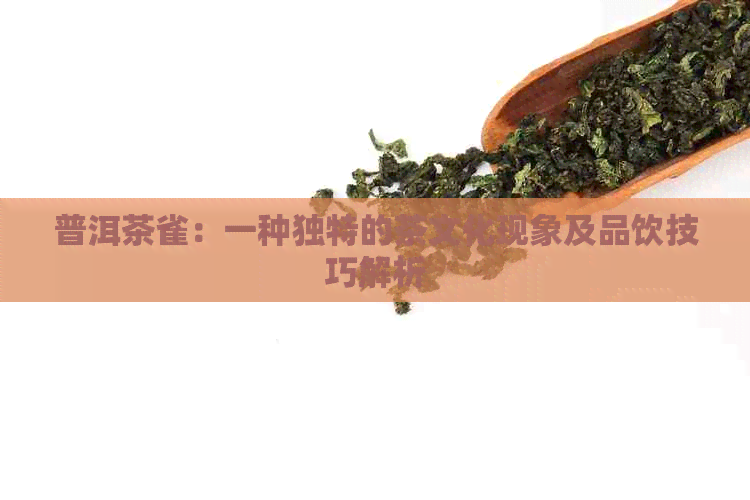 普洱茶雀：一种独特的茶文化现象及品饮技巧解析