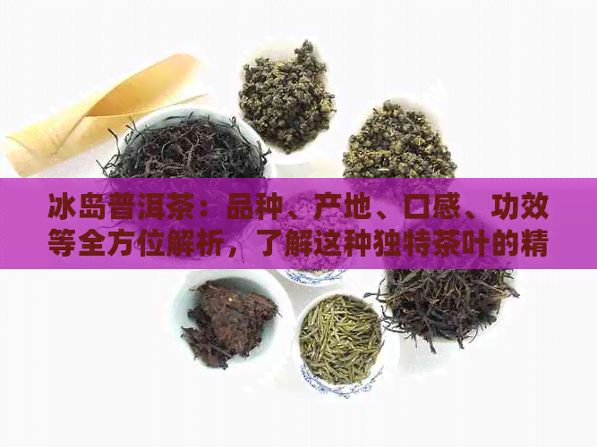 冰岛普洱茶：品种、产地、口感、功效等全方位解析，了解这种独特茶叶的精髓