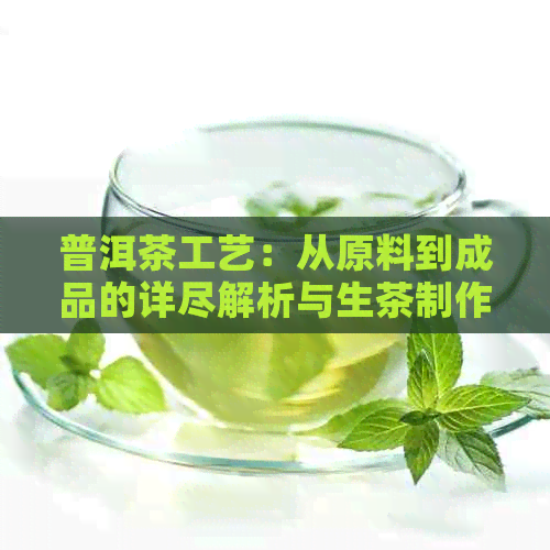 普洱茶工艺：从原料到成品的详尽解析与生茶制作流程