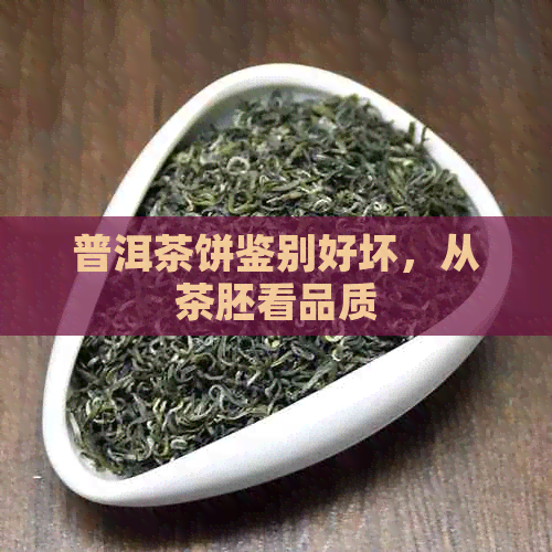 普洱茶饼鉴别好坏，从茶胚看品质