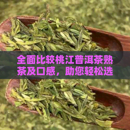 全面比较桃江普洱茶熟茶及口感，助您轻松选出最适合自己口味的优质茶品