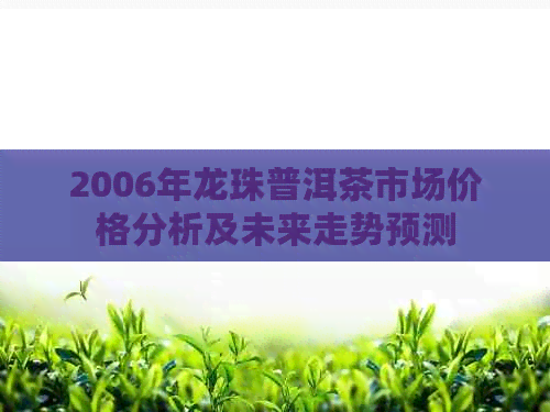 2006年龙珠普洱茶市场价格分析及未来走势预测