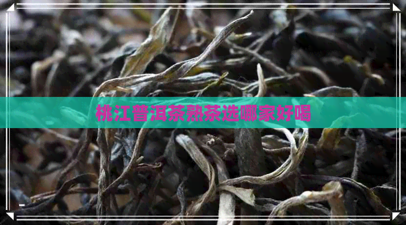 桃江普洱茶熟茶选哪家好喝