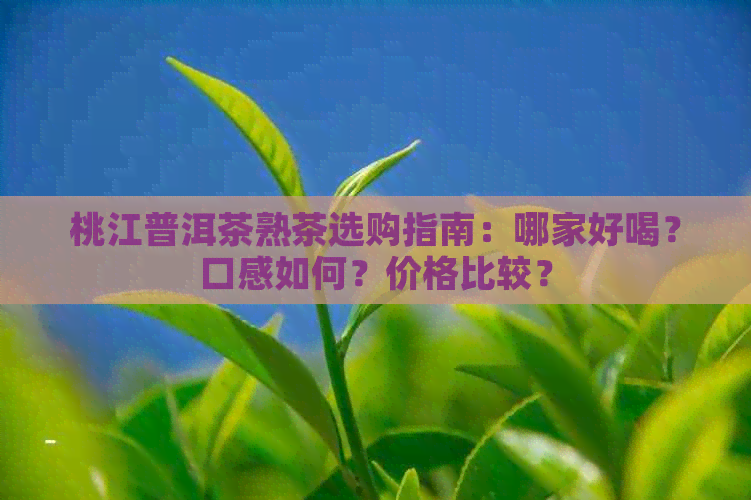 桃江普洱茶熟茶选购指南：哪家好喝？口感如何？价格比较？