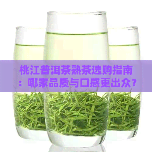 桃江普洱茶熟茶选购指南：哪家品质与口感更出众？