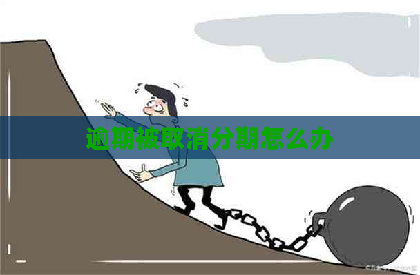 逾期被取消分期怎么办