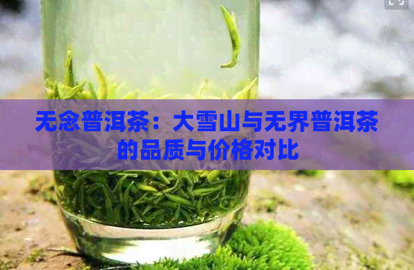 无念普洱茶：大雪山与无界普洱茶的品质与价格对比