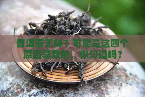 普洱茶无味？可能是这四个原因导致的，你知道吗？