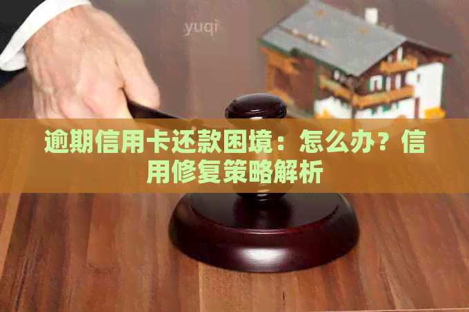 逾期信用卡还款困境：怎么办？信用修复策略解析