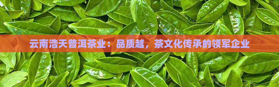 云南浩天普洱茶业：品质越，茶文化传承的领军企业