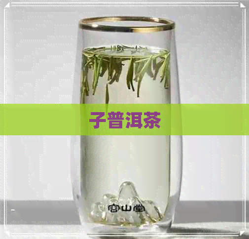 子普洱茶