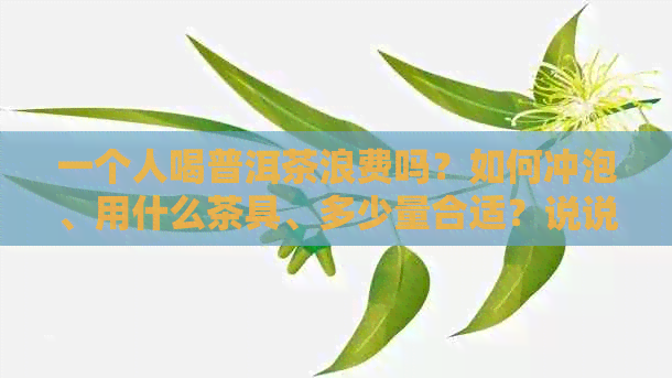 一个人喝普洱茶浪费吗？如何冲泡、用什么茶具、多少量合适？说说发朋友圈。