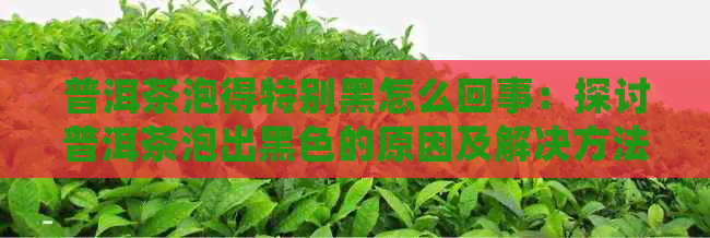 普洱茶泡得特别黑怎么回事：探讨普洱茶泡出黑色的原因及解决方法