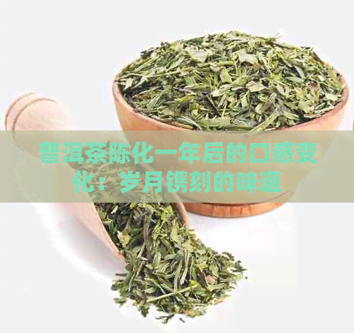 普洱茶陈化一年后的口感变化：岁月镌刻的味道