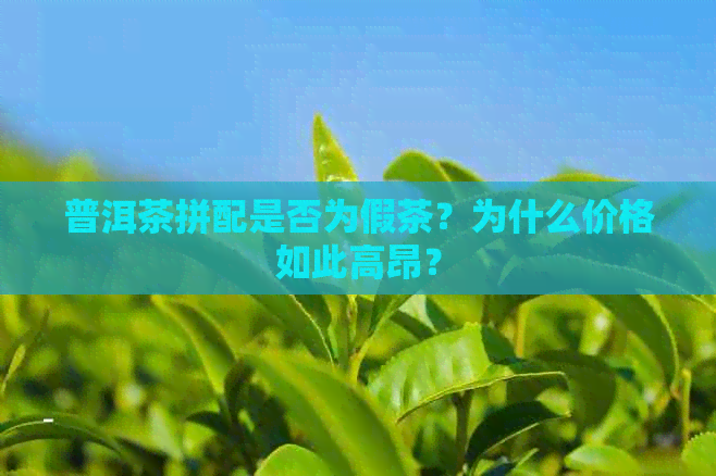 普洱茶拼配是否为假茶？为什么价格如此高昂？