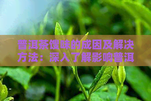 普洱茶馊味的成因及解决方法：深入了解影响普洱茶口感的关键因素