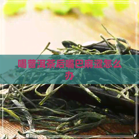 喝普洱茶后嘴巴麻涩怎么办