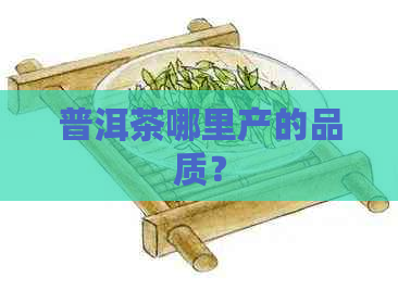 普洱茶哪里产的品质？