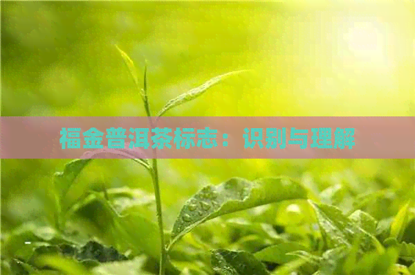 福金普洱茶标志：识别与理解