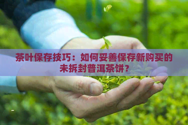 茶叶保存技巧：如何妥善保存新购买的未拆封普洱茶饼？