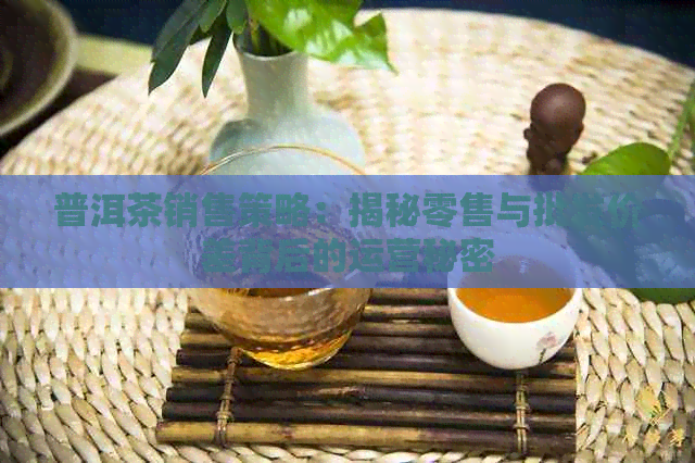 普洱茶销售策略：揭秘零售与批发价差背后的运营秘密