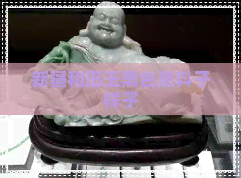 新疆和田玉黑色愿料子样子