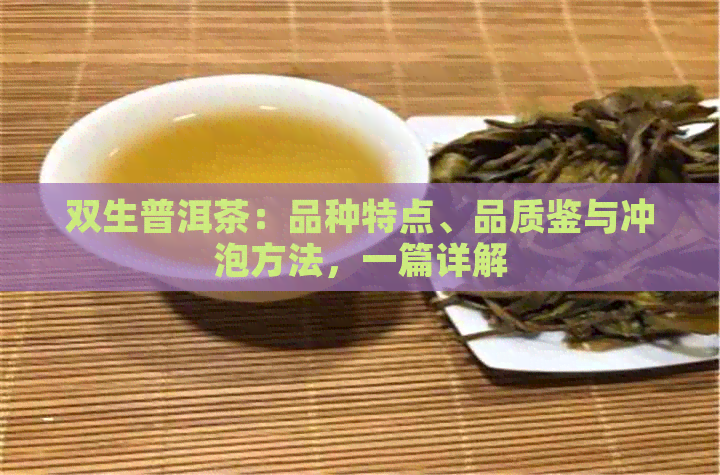 双生普洱茶：品种特点、品质鉴与冲泡方法，一篇详解