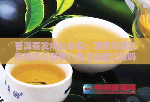 普洱茶发烧友必看：喝普洱茶发热是怎么回事？普洱茶能退烧吗？