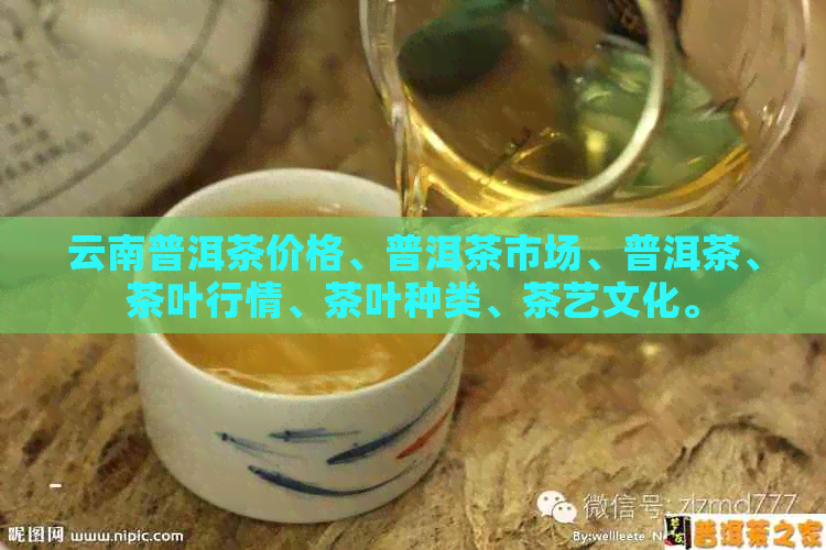 云南普洱茶价格、普洱茶市场、普洱茶、茶叶行情、茶叶种类、茶艺文化。