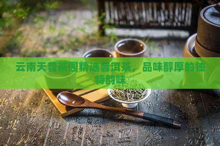 云南天普茶园精选普洱茶，品味醇厚的独特韵味