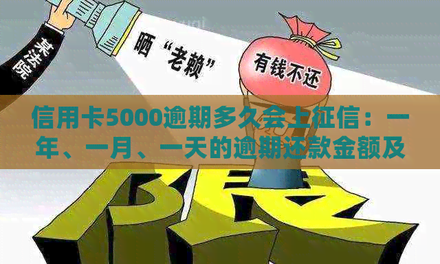 信用卡5000逾期多久会上：一年、一月、一天的逾期还款金额及利息计算