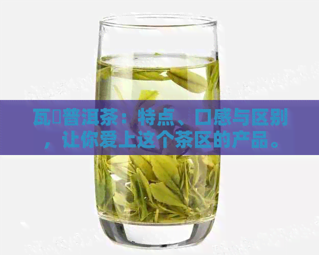 瓦篭普洱茶：特点、口感与区别，让你爱上这个茶区的产品。