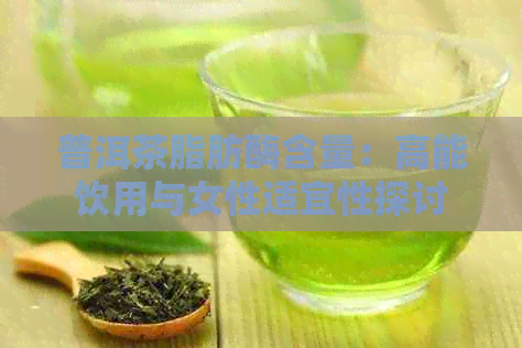 普洱茶脂肪酶含量：高能饮用与女性适宜性探讨