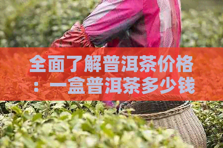 全面了解普洱茶价格：一盒普洱茶多少钱，如何选择适合自己预算的茶叶？