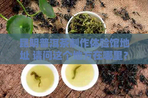 昆明普洱茶制作体验馆地址 请问这个地方在哪里？