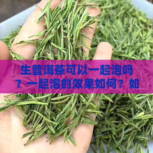 生普洱茶可以一起泡吗？一起泡的效果如何？如何正确搭配泡制？