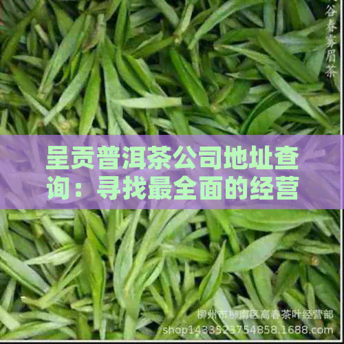 呈贡普洱茶公司地址查询：寻找最全面的经营茶叶店铺位置信息