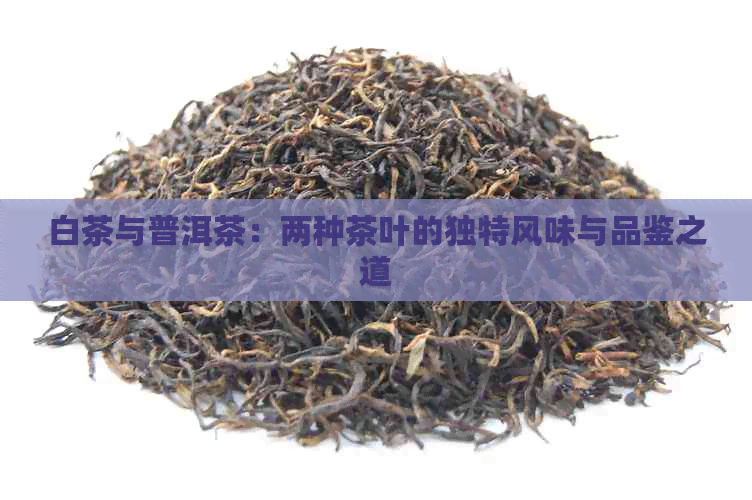 白茶与普洱茶：两种茶叶的独特风味与品鉴之道