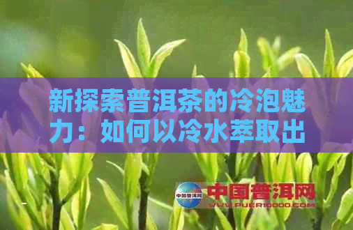 新探索普洱茶的冷泡魅力：如何以冷水萃取出口感？